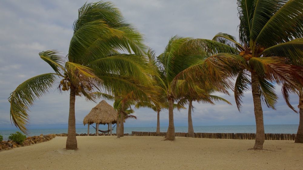 Royal Belize Hotel Thatch Caye Kültér fotó