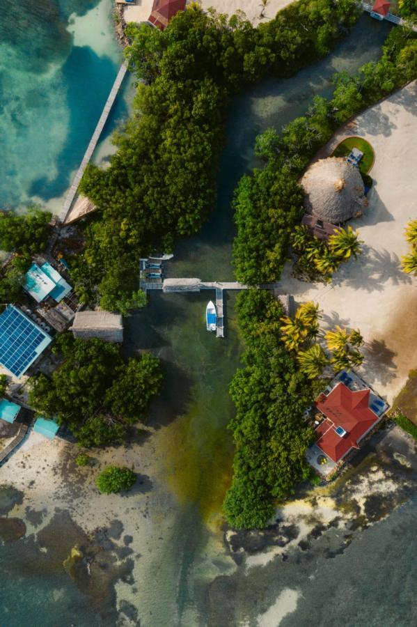 Royal Belize Hotel Thatch Caye Kültér fotó